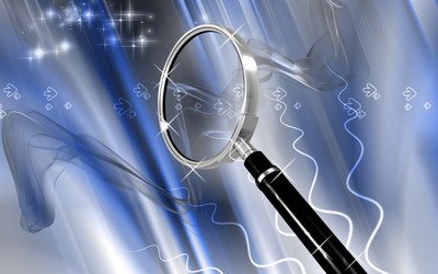 上海市婚姻调查：老公骗我离婚怎么办